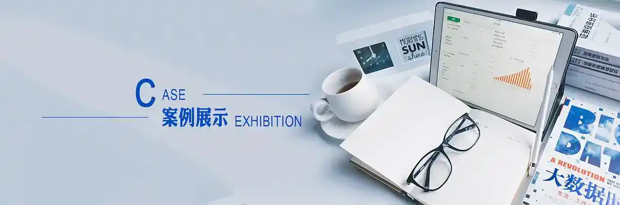 龙山县软件开发